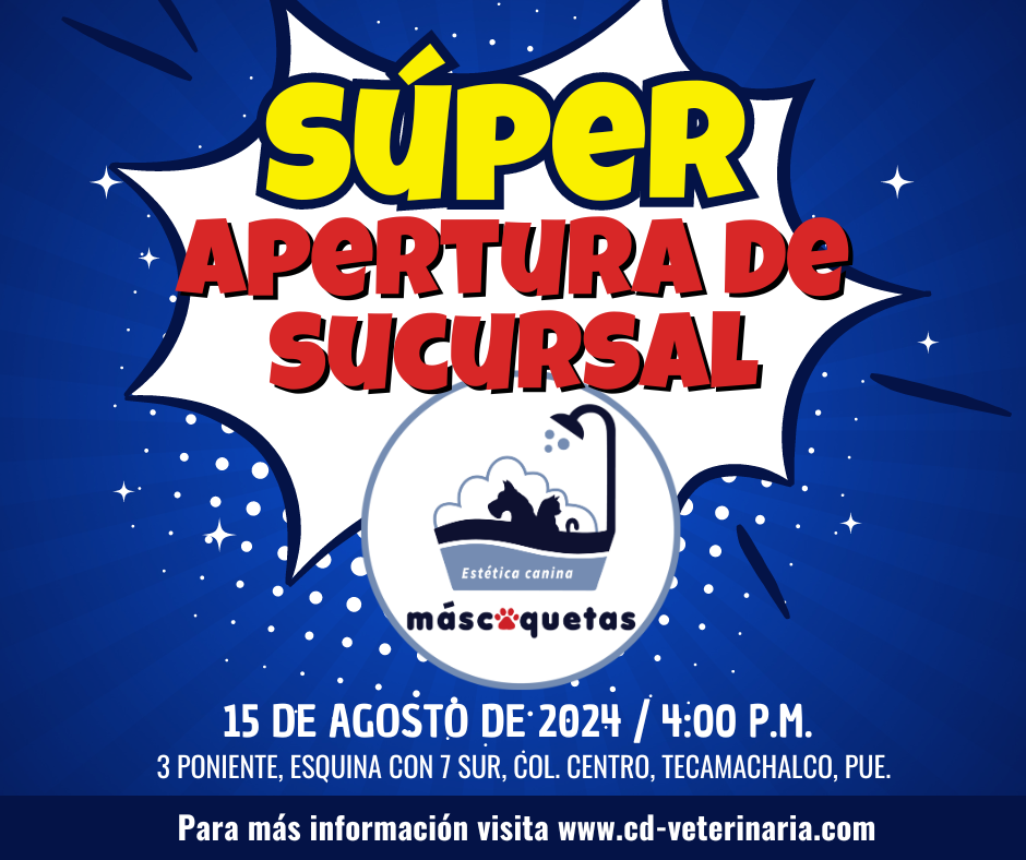 Paquetes comerciales para dar a conocer a tu negocio. Community Manager.